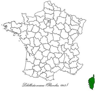 400px-Libcorfr