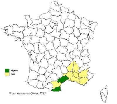400px-puemacmap