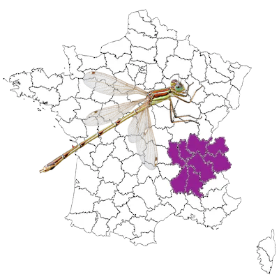 État des données odonatologiques en Rhône-Alpes en 1998