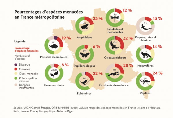 Fichier:Spmenfr.png