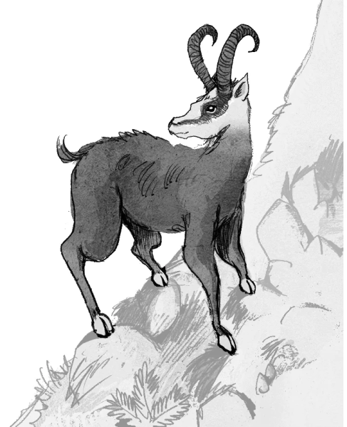 Fichier:Dahu.png