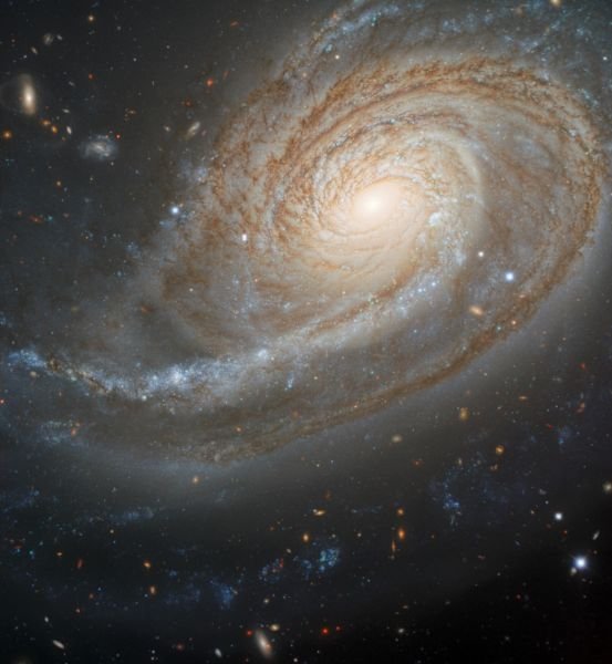 Fichier:NGC772.jpg