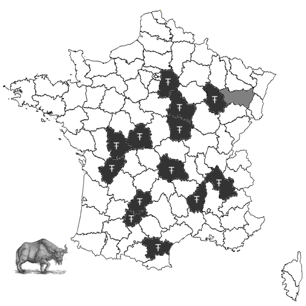 Fichier:Bisbonfr.png