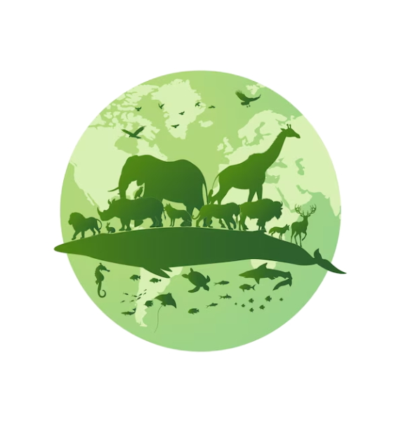 Fichier:Biodiversité.png