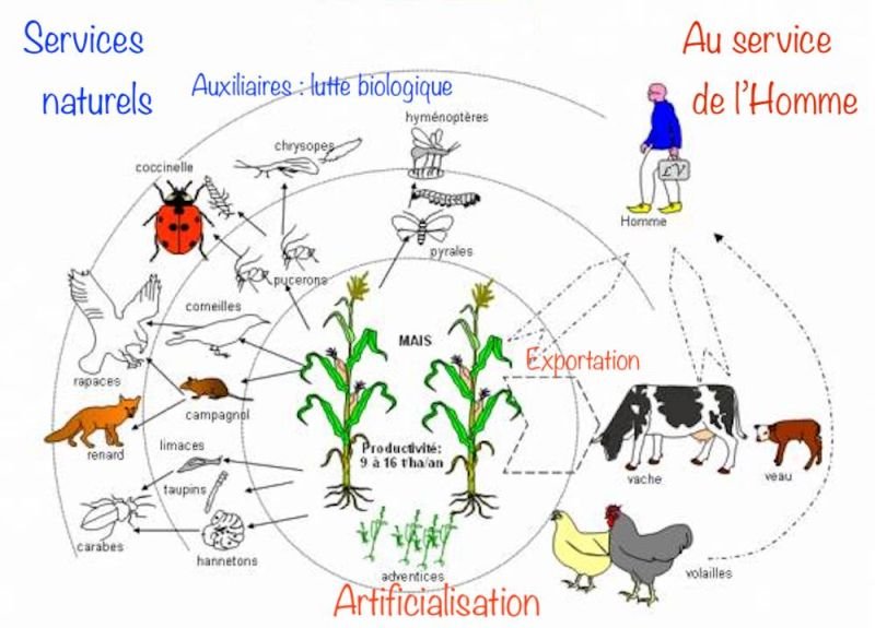 Fichier:Agrosystemes.jpg