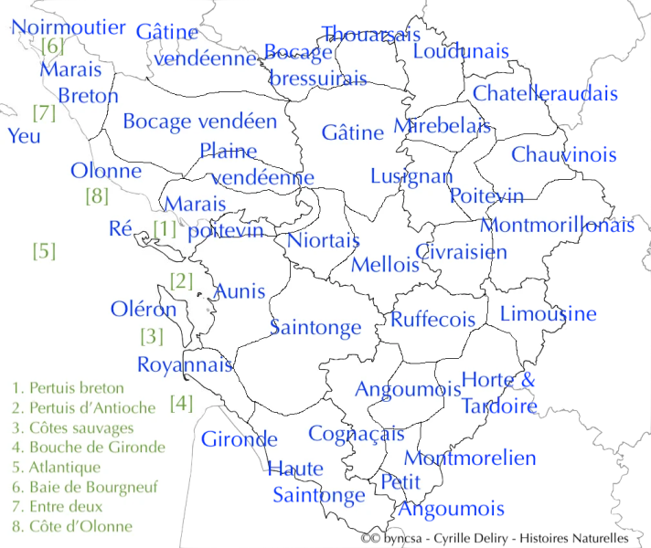 Fichier:PCVdn.png