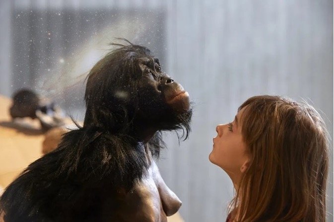 Regarder dans le ciel, c’est regarder loin dans le temps… toutefois rester sur Terre et jadis c’est possible en Biologie-Géologie !