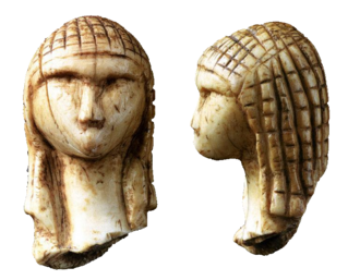 L&rsquo;Homme au sein du vivant