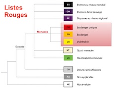 Listes Rouges des Odonates en Auvergne Rhône-Alpes : historique