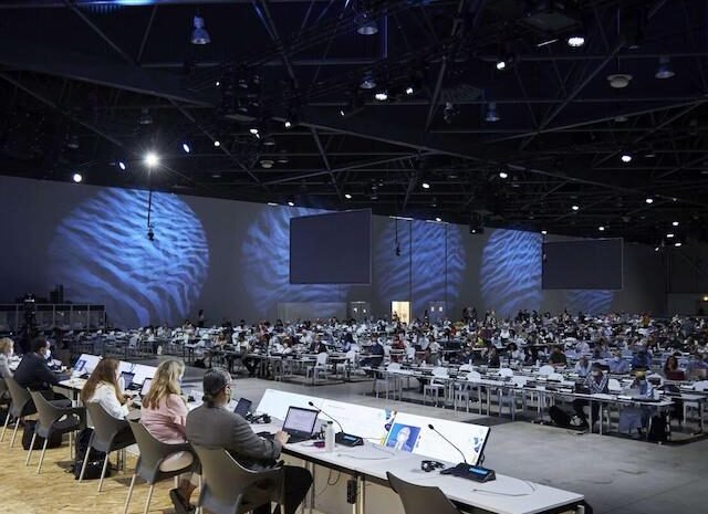 Du Congrès de l&rsquo;UICN de la Nature à Abu Dhabi 2025 au rapport WWF pour la France