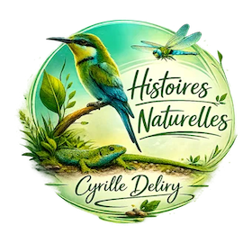 Lune à Niort le 25 février 2026