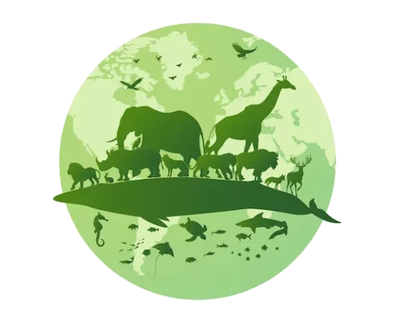 Biodiversité