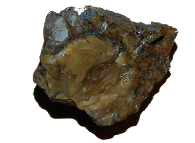 Ambre du Crétacé de la Charente-Maritime