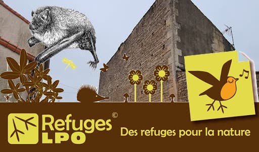 Kiwi Niort