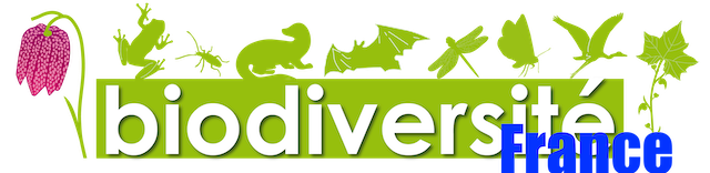 Essai d&rsquo;Organigramme de la Biodiversité en France